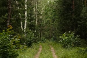 Respiración abdominal