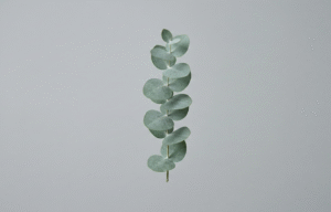 Mindfulness para la ansiedad