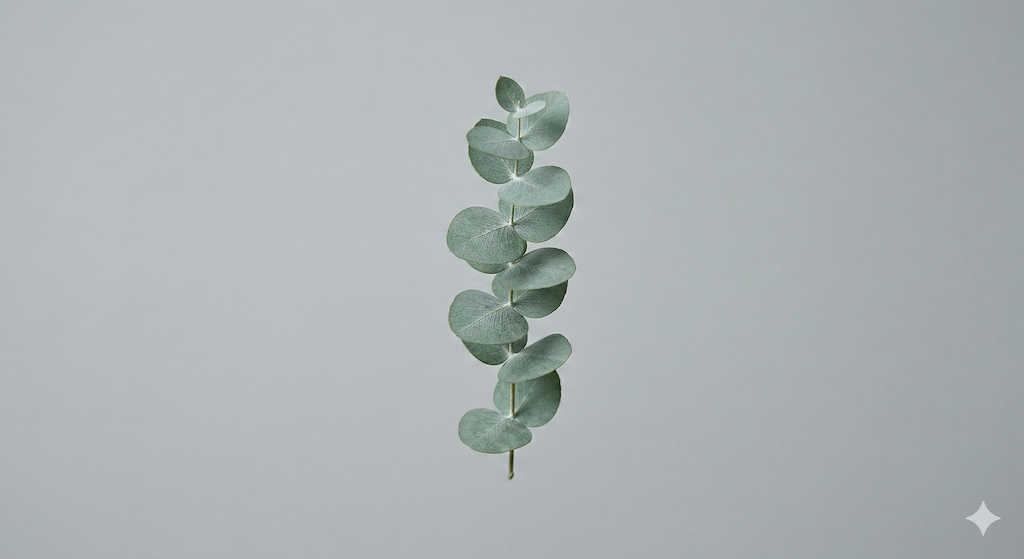 Mindfulness para la ansiedad